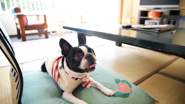 和室10畳 <ペットと一緒にご宿泊!>